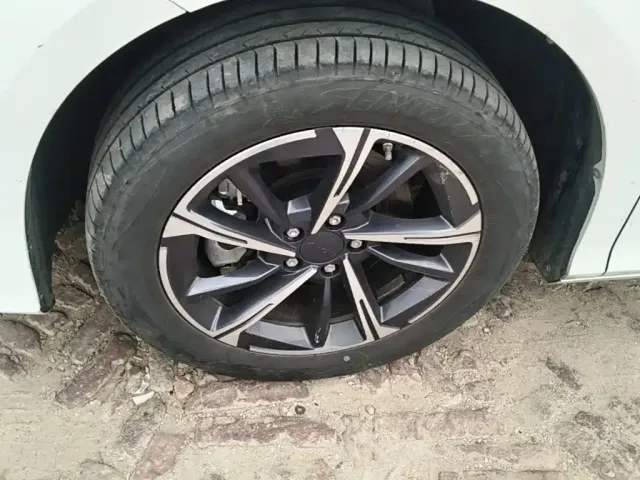Aion AION S MAX 2025 70 Stellar Edition 53.7kWh — Фото автомобиля 22