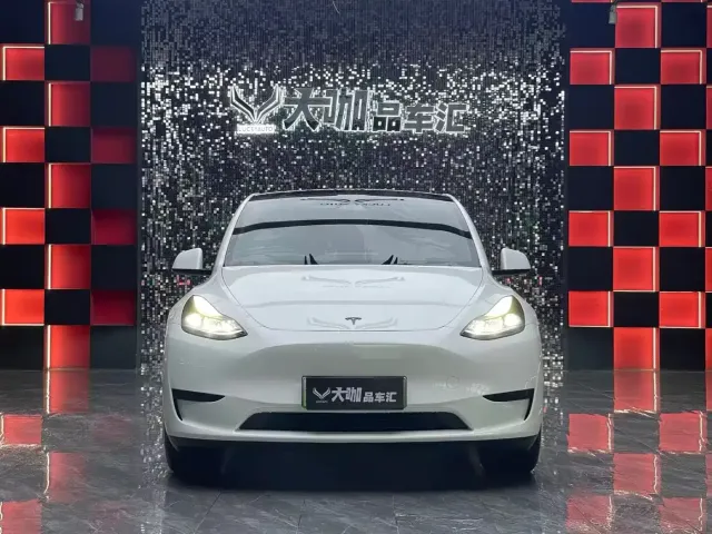 Tesla Model Y — Фото автомобиля 2