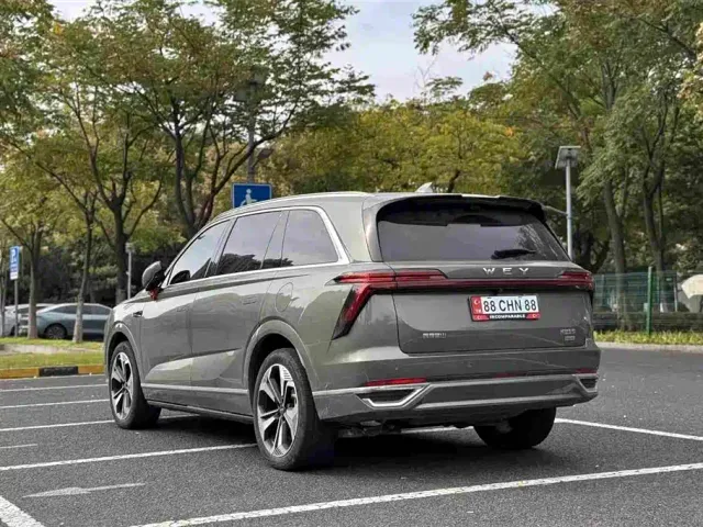 Wey Lanshan — Фото автомобиля 4