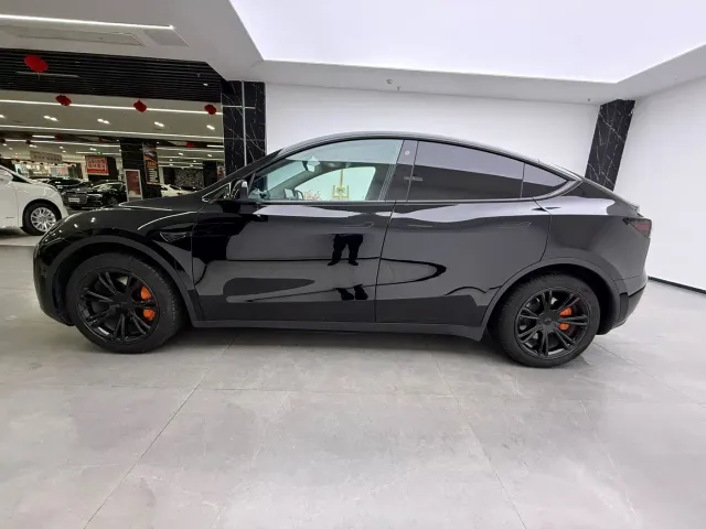 Tesla Model Y — Фото автомобиля 4