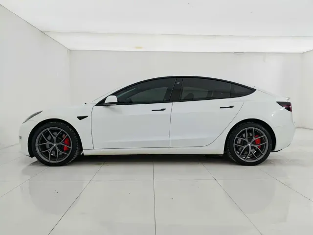 Tesla Model 3 2022 Performance High-Performance AWD — Фото автомобиля 7