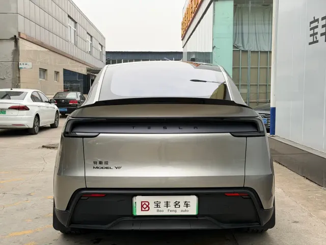 Tesla Model Y L — Фото автомобиля 11