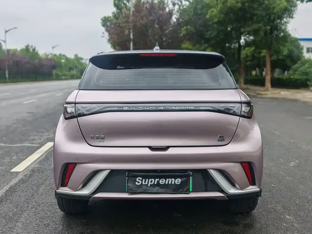 BYD Dolphin — Фото автомобиля 12
