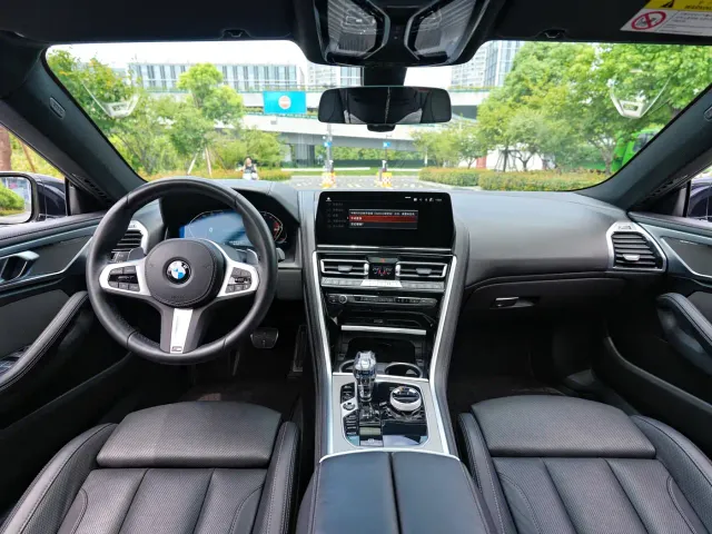 BMW 8 Series — Фото автомобиля 10