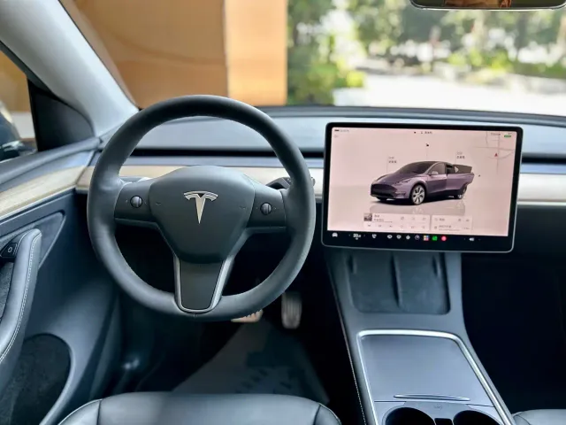 Tesla Model Y — Фото автомобиля 10