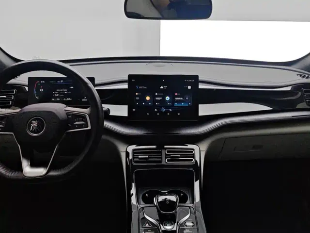BYD Qin PLUS — Фото автомобиля 13