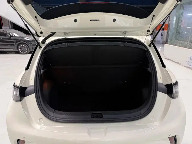 BYD Dolphin — Фото автомобиля 21