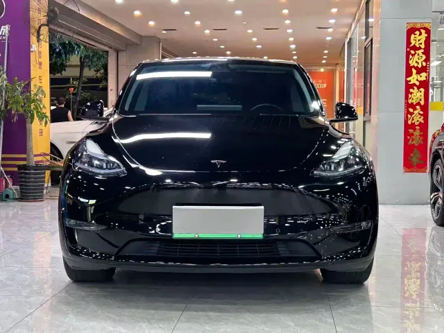 Tesla Model Y — Фото автомобиля 2