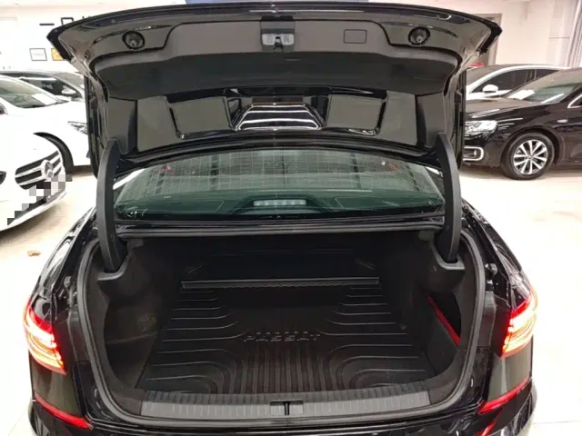 Volkswagen Passat — Фото автомобиля 18