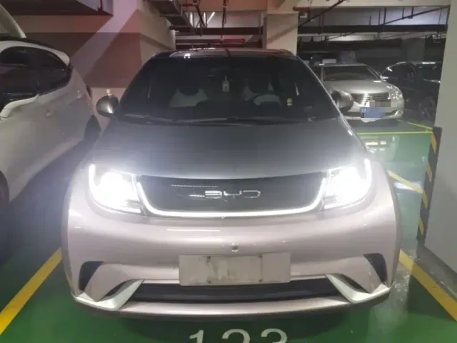 BYD Dolphin — Фото автомобиля 2