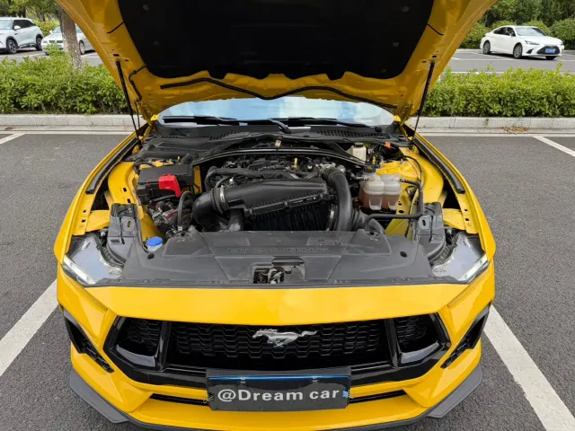 Ford Mustang — Фото автомобиля 23