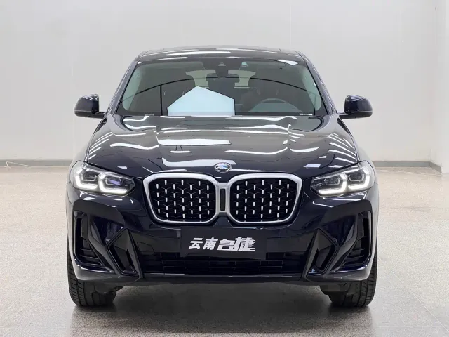 BMW X4 — Фото автомобиля 2