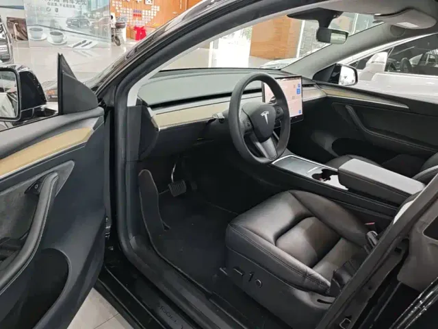 Tesla Model Y — Фото автомобиля 15