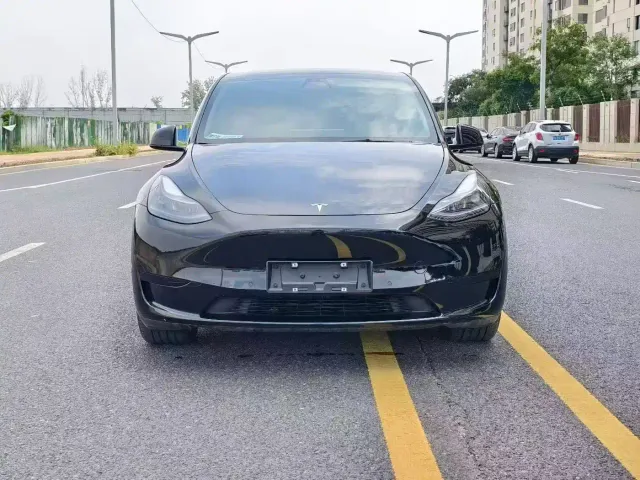 Tesla Model Y — Фото автомобиля 2