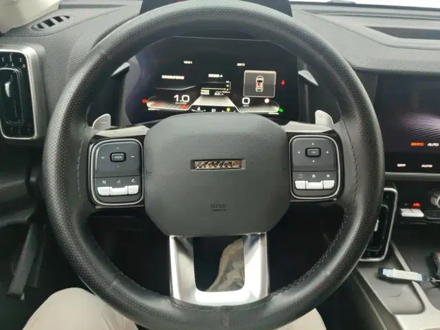 Haval Big Dog — Фото автомобиля 15