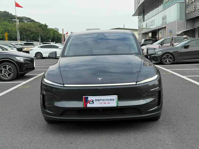 Tesla Model Y — Фото автомобиля 2