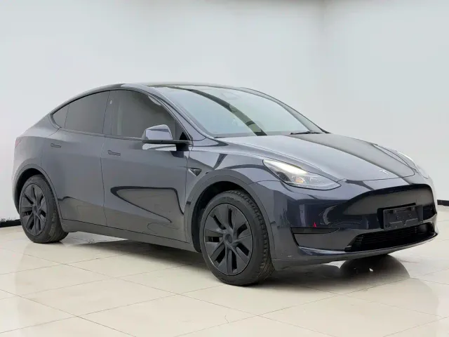 Tesla Model Y — Фото автомобиля 3