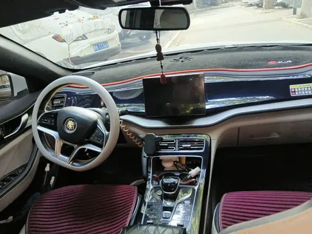 BYD Qin PLUS — Фото автомобиля 12