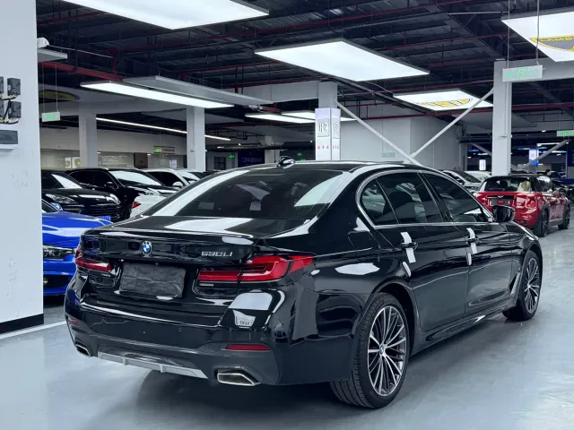BMW 5 Series — Фото автомобиля 13