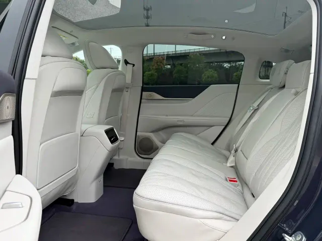 Buick Electra L7 — Фото автомобиля 12