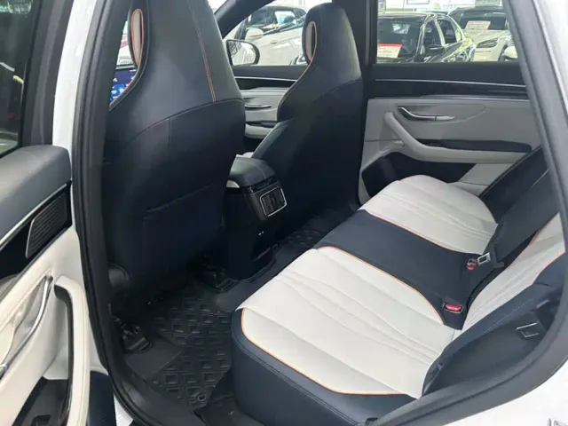 BYD Song PLUS — Фото автомобиля 11