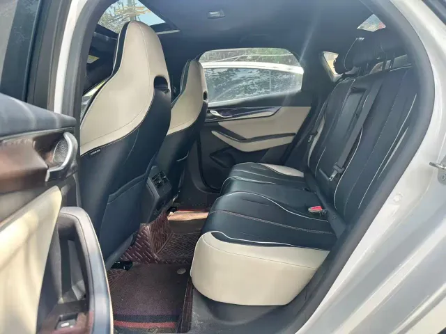 BYD Qin PLUS 2021 EV 500KM Luxury Model — Фото автомобиля 9