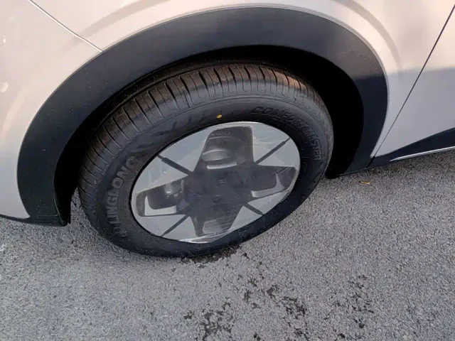 Geely Starry Wish — Фото автомобиля 22