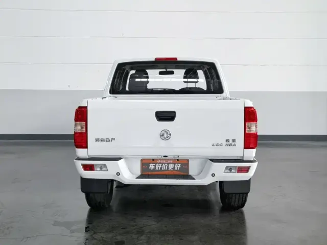 Dongfeng Ruiqi — Фото автомобиля 4