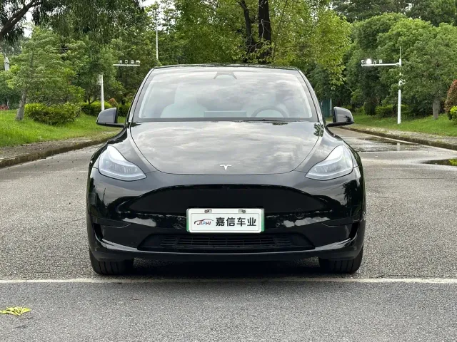 Tesla Model Y — Фото автомобиля 2