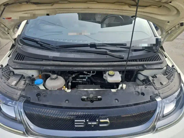 BYD Dolphin — Фото автомобиля 10