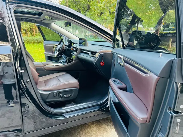Lexus RX — Фото автомобиля 13