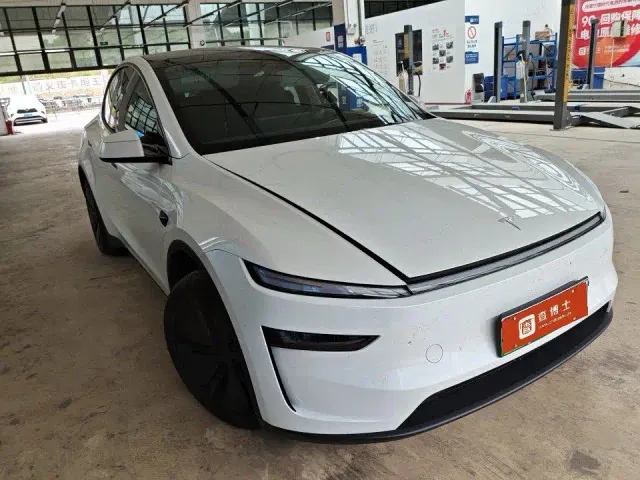 Tesla Model Y — Фото автомобиля 2