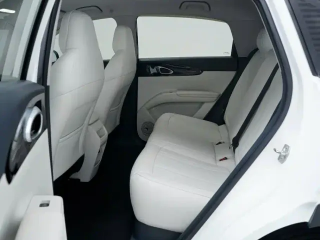 Geely Starry Wish — Фото автомобиля 5