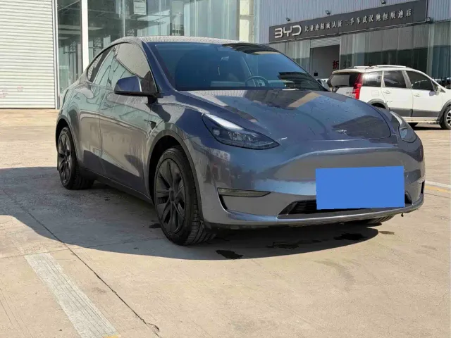 Tesla Model Y — Фото автомобиля 3