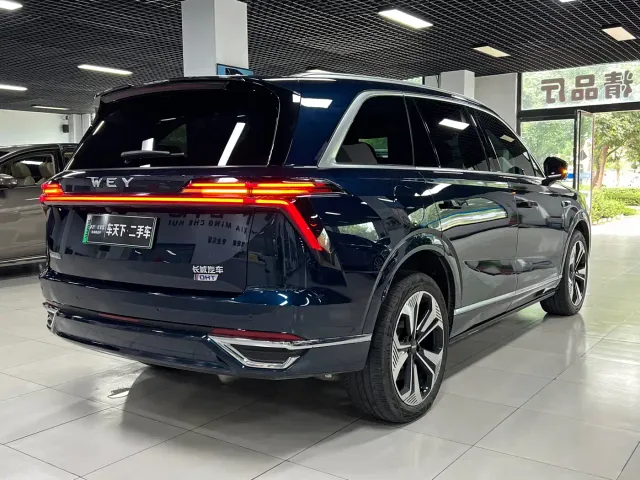 Wey Lanshan — Фото автомобиля 6