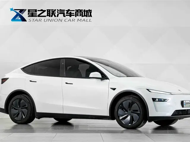 Tesla Model Y — Фото автомобиля 6