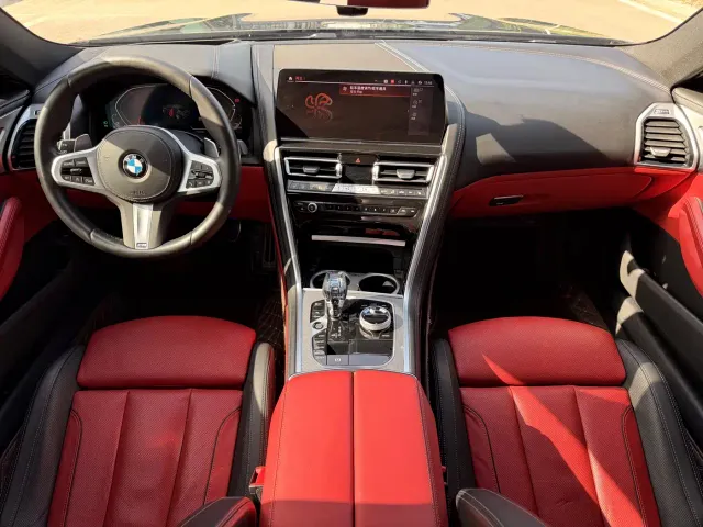 BMW 8 Series — Фото автомобиля 18