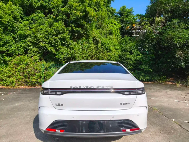 BYD Destroyer 05 — Фото автомобиля 7