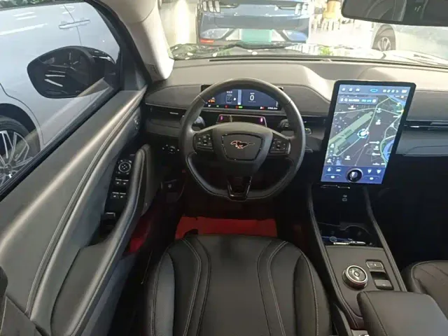 Ford Mustang Mach-E — Фото автомобиля 10