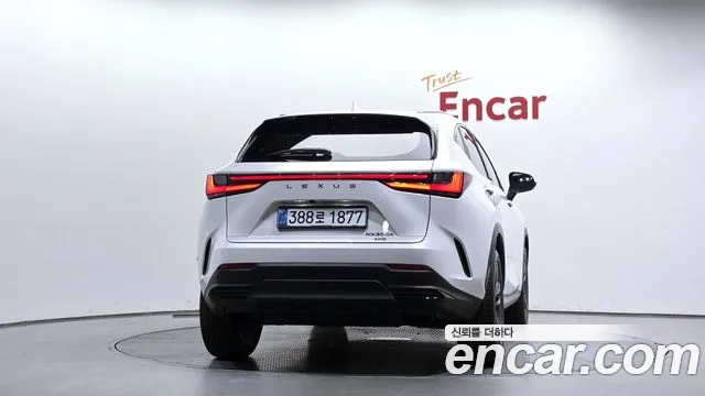 Lexus NX 2nd Gen — Фото автомобиля 4