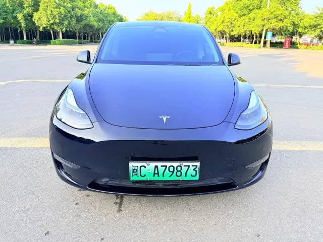 Tesla Model Y — Фото автомобиля 2