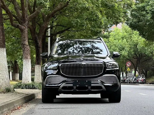 Mercedes-Benz Maybach GLS 2022 GLS 480 4MATIC — Фото автомобиля 2