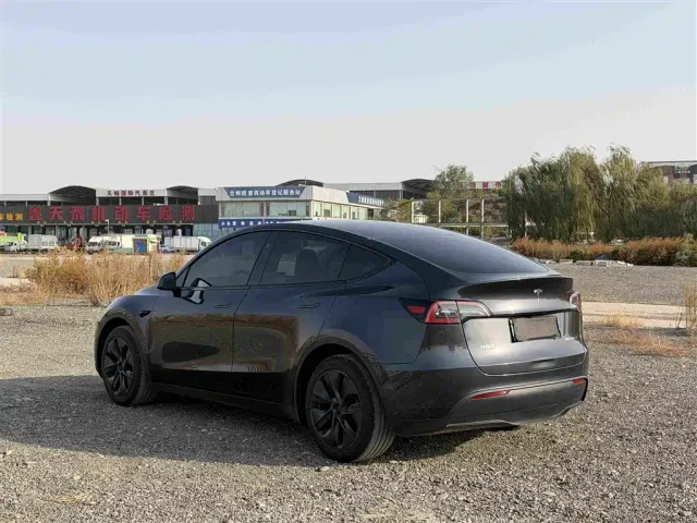 Tesla Model Y — Фото автомобиля 6