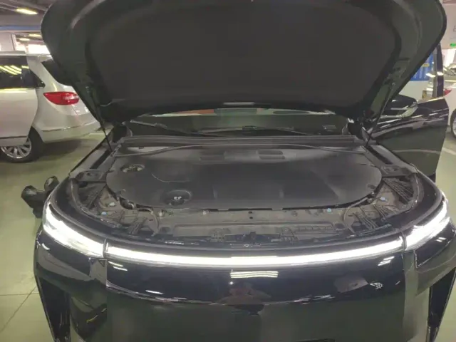GAC Trumpchi Xiangwang S9 — Фото автомобиля 19