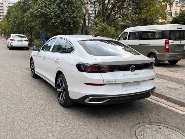 Volkswagen Lamando — Фото автомобиля 6