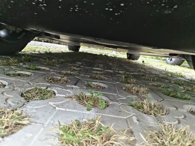 Tesla Model Y — Фото автомобиля 23