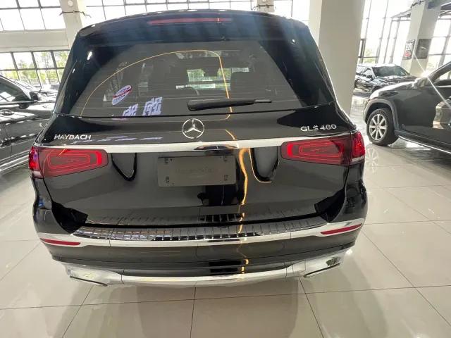 Mercedes-Benz GLS-Class — Фото автомобиля 6
