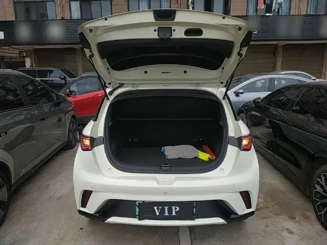 BYD Dolphin — Фото автомобиля 18