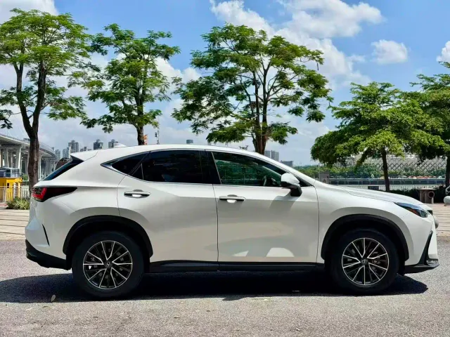Lexus NX — Фото автомобиля 4