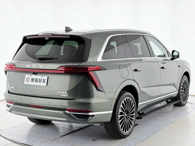 Wey Lanshan — Фото автомобиля 15